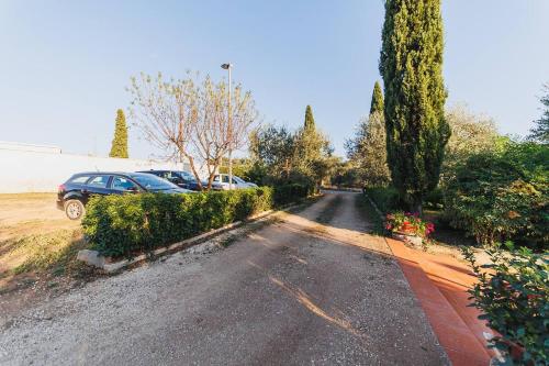 Gallery image of Countryhouse gli ulivi in Modugno