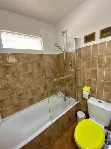 La salle de bains est pourvue d'une douche et de toilettes vertes. dans l'établissement Mont-Ventoux, Provence, Appartement avec vue panoramique et piscine, à Mollans-sur-Ouvèze