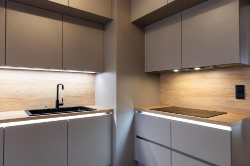 Kuchyň nebo kuchyňský kout v ubytování Fancy residence private parking & garden