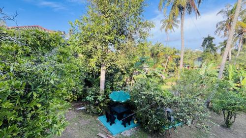 a garden with trees and a blue table at Jilan Homestay in Bentota