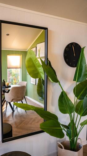 a mirror in a living room with a plant at Wellnesshuisje in de Sallandse Heuvelrug in Haarle