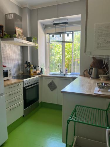 a kitchen with green floors and a sink and a window at Spacious apartment in central Copenhagen in Copenhagen