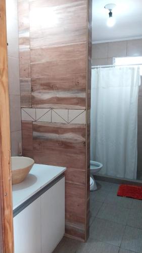a bathroom with a sink and a toilet and a shower at Cabaña Doña Alicia in San Rafael