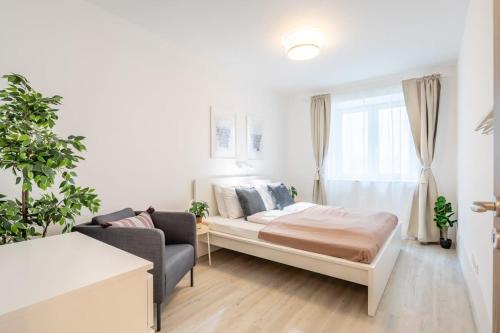 Modern & Cozy Central home 1082 Budapest, Vajdahunyad utca 12 kép - 3