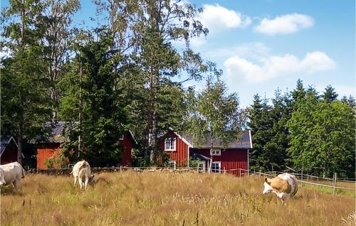 a group of cows grazing in a field in front of a red barn at Gorgeous Home In Vårgårda With Wifi in Vårgårda