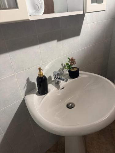 a white bathroom sink with two plants on it at La Corte dei Celti in San Benedetto Del Querceto