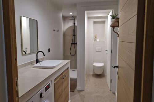 une salle de bain avec un lavabo, des toilettes et un miroir dans l'établissement Appartement Indépendant avec Jardin et Piscine en Provence, à Ventabren