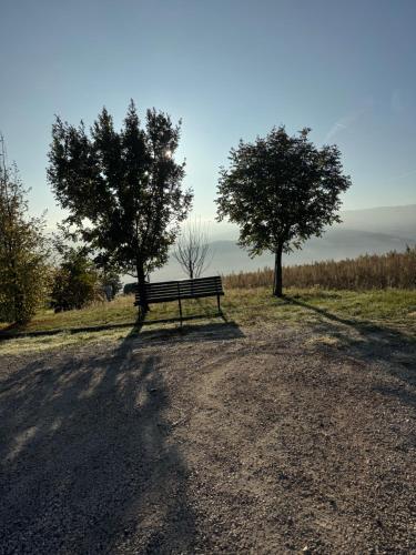 a bench sitting on a dirt road next to two trees at La corte dei celti -1 in San Benedetto Del Querceto
