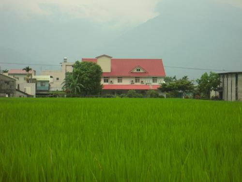 a field of green grass with a house in the background at Golden flower Homestay in Yuli