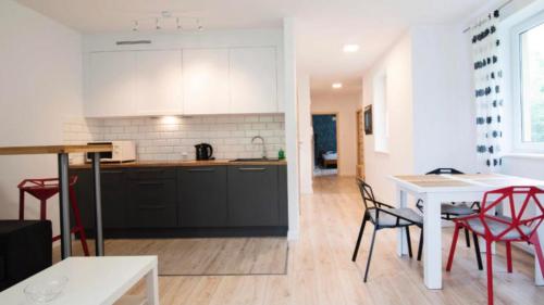 Nowy dwupokojowy apartament idealny na narty