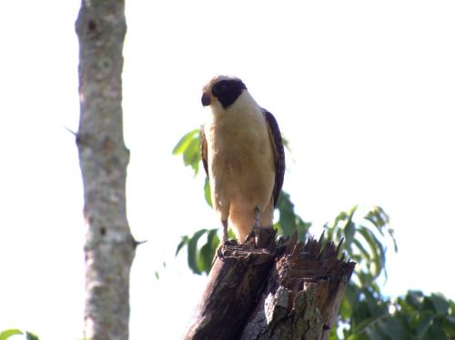 Photo de la galerie de l'établissement Posada del Cerro, à Piedra Blanca