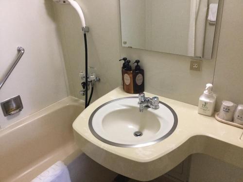 a bathroom with a sink and a mirror and a tub at Asahikawa Toyo Hotel in Asahikawa