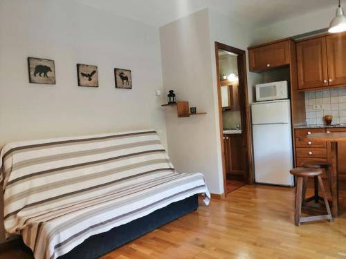 Dapur atau dapur kecil di Amplio estudio con balcón Erta 2