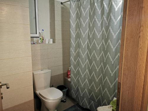 a bathroom with a toilet and a shower curtain at Xaido's House near airport port sea in Artemida
