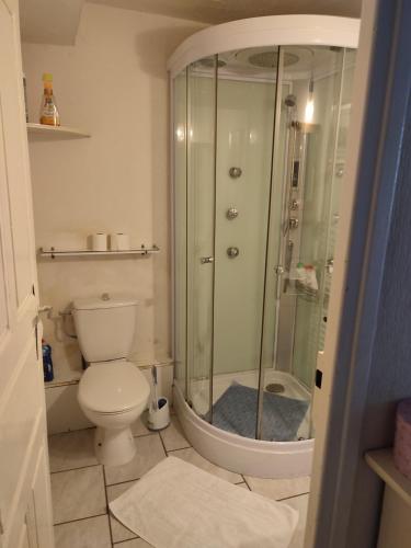 a bathroom with a shower and a toilet at Chateau View Chambres d'hôtes in Quillan