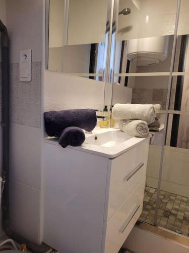 La salle de bains est pourvue d'un lavabo, d'une douche et de serviettes. dans l'établissement Appartement en résidence avec vue et accès au port, à Gruissan