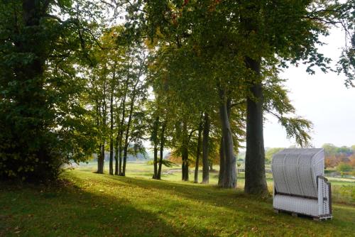 a white bench sitting in a park next to trees at Kuschelige Herbsttage und Meeresrauschen in Breege