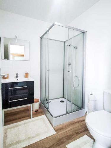 une salle de bain avec une douche avec des toilettes et un lavabo dans l'établissement Les Quais du Centre-Ville, à Romans-sur-Isère