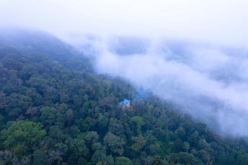 a misty forest with a house in the middle at Royal Woods Coorg in Madikeri