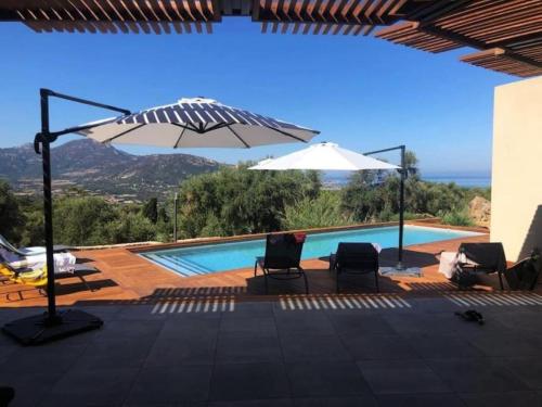 un patio avec des chaises et un parasol ainsi qu'une piscine dans l'établissement Villa Nannarella, à Corbara