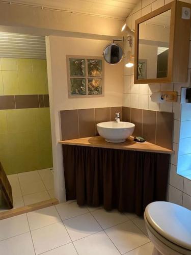 une salle de bain avec un lavabo et des toilettes dans l'établissement Gîte de 2 ou 3 personnes la Bergerie, à Gravières