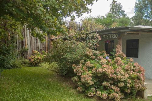 Jardín al aire libre en Compañeras