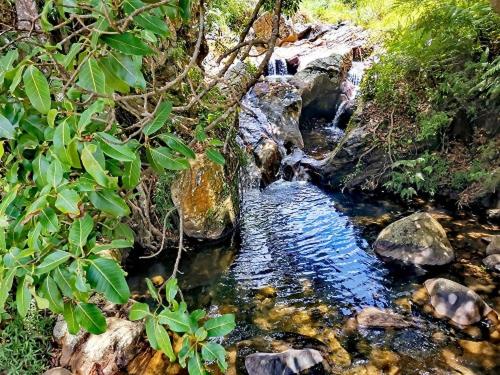 a stream of water with rocks in a forest at Eldorado Eco Glamping in Moragahamulla