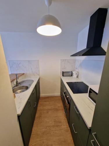 une cuisine avec des armoires vertes et un évier et une lumière dans l'établissement Le Burgonce, à Niort