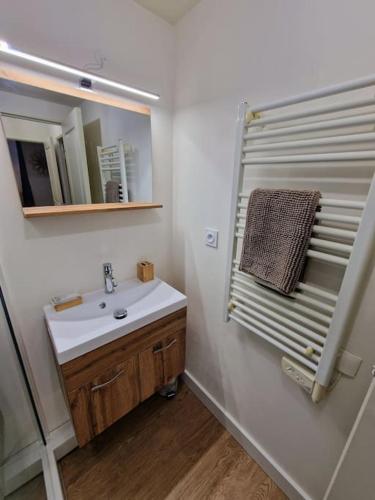 une salle de bain avec un lavabo et un miroir dans l'établissement Le Burgonce, à Niort