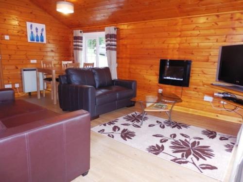 TV a/nebo společenská místnost v ubytování Cosy log cabin in Snowdonia 35