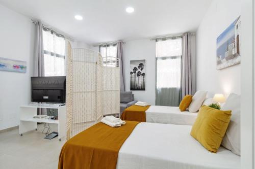 ESTUDIO EN MÁLAGA CENTRO. 45