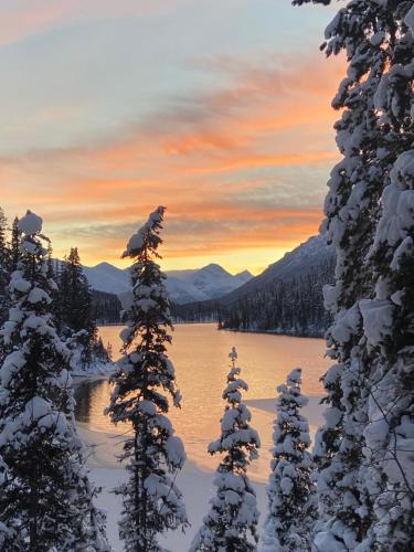 a group of snow covered trees in front of a lake at Cooks and Puppies Hideaway in Jade City