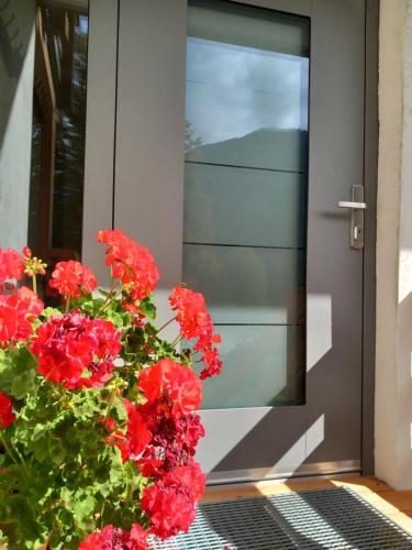 a door with red flowers in front of it at Apartmenthaus AMELIE in Lunz am See