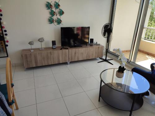 Cap d'Agde duplex l'Olivier vue mer 5 à 6 pers