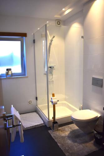 a bathroom with a shower and a toilet at Casa da Vitoria in Falca