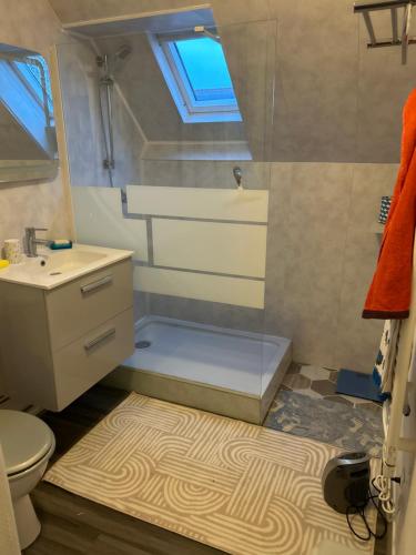 une salle de bain avec une douche, des toilettes et un lavabo dans l'établissement Chambre en maison chez l habitant, à Joué-lès-Tours
