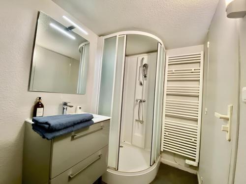 une salle de bain avec une douche, un lavabo et un miroir dans l'établissement SAINT PATRICE, à Rouen
