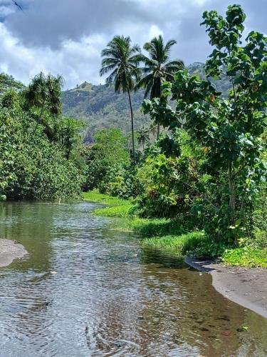 a river in a jungle with palm trees and a beach at Hiva oa chalets in Atuona