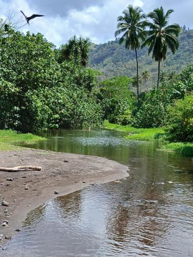 a bird flying over a river with palm trees at Hiva oa chalets in Atuona