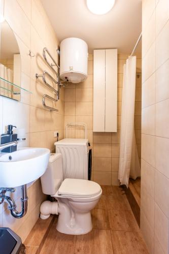 a bathroom with a toilet and a sink at Studio Apartment in Kaunas