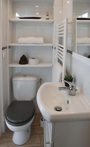 une salle de bain blanche avec des toilettes et un lavabo dans l'établissement Chez Jeannette Charmant 2 pièces, à Bessancourt