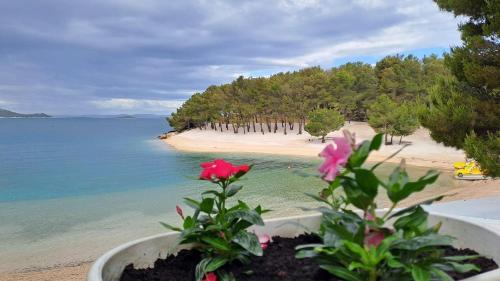 a view of a beach with pink flowers in a pot at Serenity Mobile House in Drage