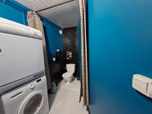 La salle de bains est pourvue de toilettes et d'un lave-linge. dans l'établissement Charmante Maison campagne Tarn, à Loupiac