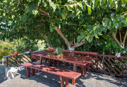 a picnic table and a dog sitting next to a tree at Socrates Holidays Apt. 2 with Pool near the Beach in Plataniás