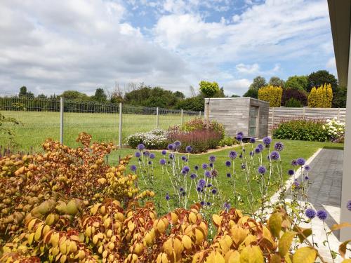 a garden with purple flowers in a yard at Vakantiewoning De Bles in Avelgem