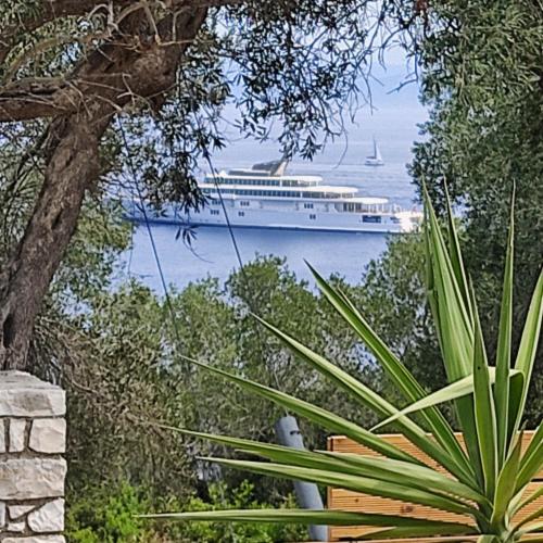 a cruise ship in the water with a tree at Suite Home Villa Paxos in Gaios