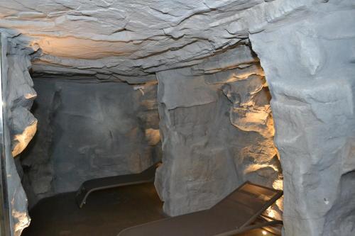 a cave with a rock wall and a treadmill in it at Nendaz 4 Vallées & SPA 4* Superior in Nendaz