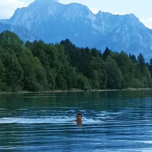 a person swimming in a lake with mountains in the background at Ferienwohnung Ilona, Armin & Simon Funke in Halblech