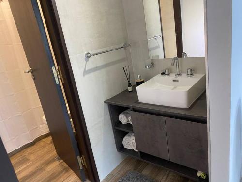 a bathroom with a sink and a mirror at Micro ensueño in Godoy Cruz