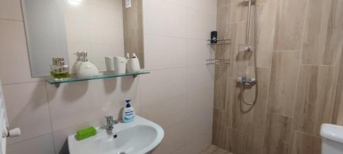巴库里阿尼bakuriani oasis WINDOW DEVELOPMENT的带水槽和淋浴的白色浴室